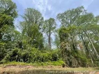 474 N Gaines Street, Southern Pines, NC 28387 - #1