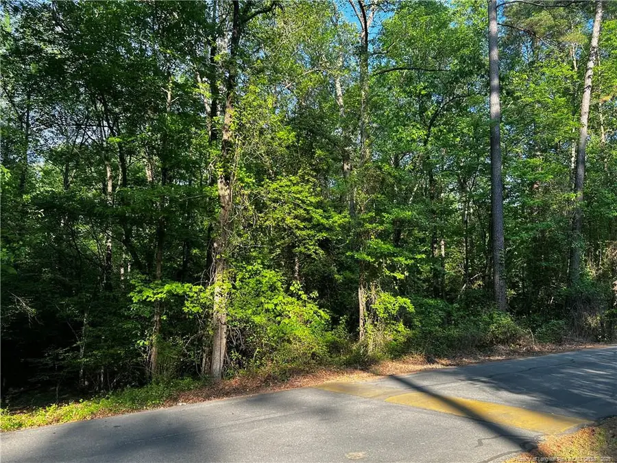 1011 Windrace Trail, Sanford, NC 27330 - #2