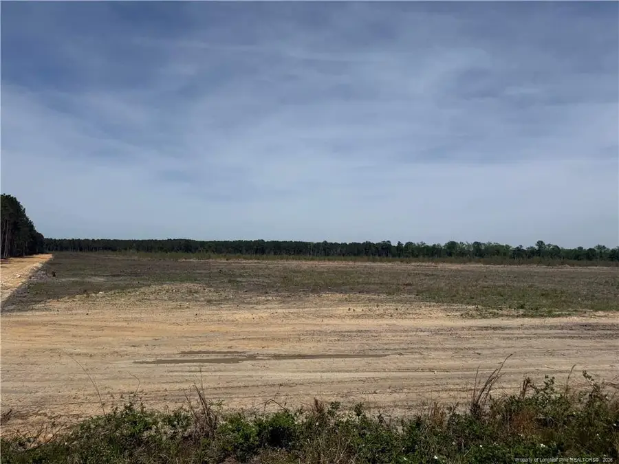 W Parkton Tobermory Road, Parkton, NC 28371 - #3