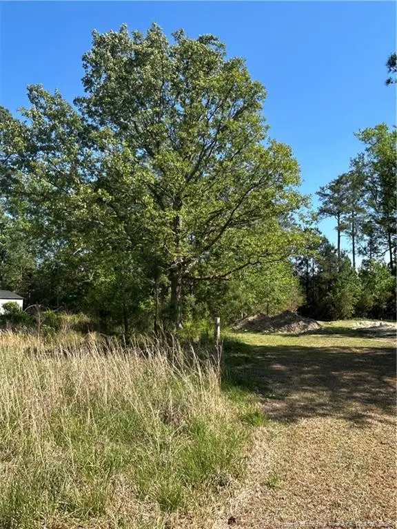 3806 Mcbryde Street, Linden, NC 28356 - #3