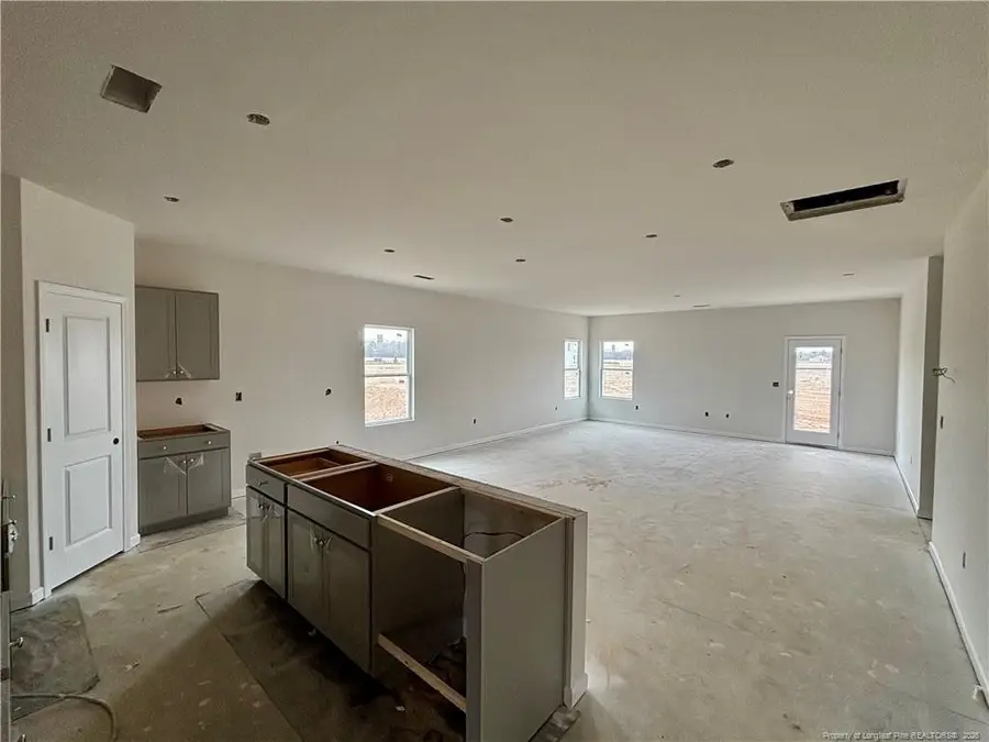 2203 Nahunta Road, Pikeville, NC 27863 - #3