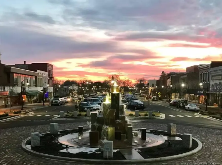 102 Hayes Drive, Pikeville, NC 27863 - #3