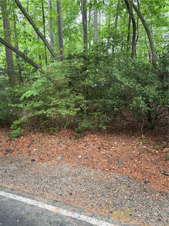 3013 Bourbon Street, Sanford, NC 27332 - #1