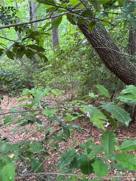 3013 Bourbon Street, Sanford, NC 27332 - #2