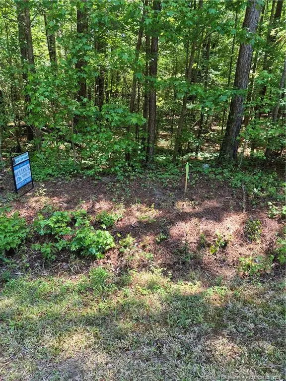 Near 294 Airport Road Road, Bladenboro, NC 28320 - #1