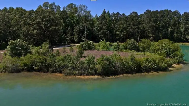 Lee Johnson Road, Dunn, NC 28334 - #3