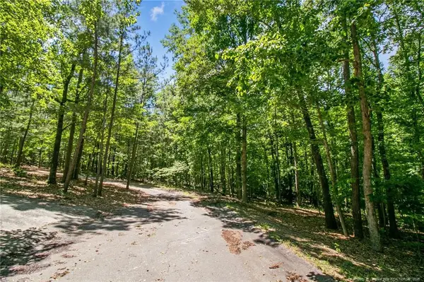tbd Buggy Drive W, Carthage, NC 28327