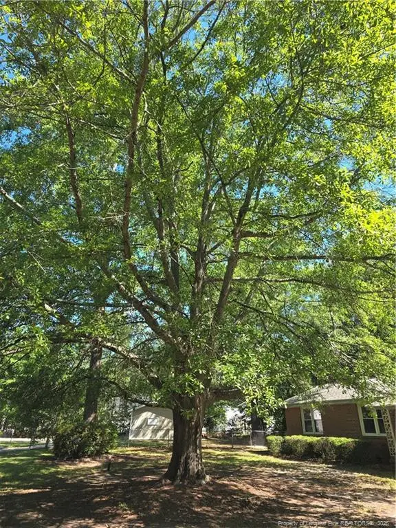 1427 Valencia Court, Fayetteville, NC 28303 - #3