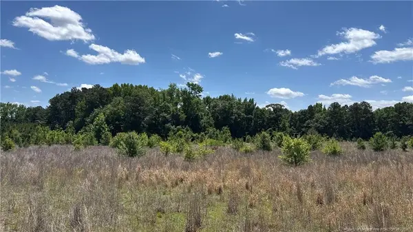 Snipes Road, Red Springs, NC 