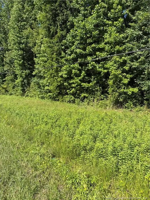 Lemon Springs Road, Sanford, NC 27332 - #3