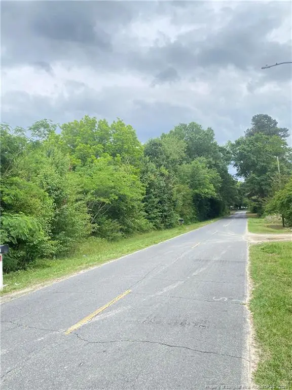 Kiser Road, Laurinburg, NC 28352 - #1