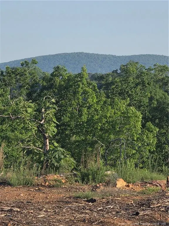 000 Skeen View Road, Asheboro, NC 27205 - #2