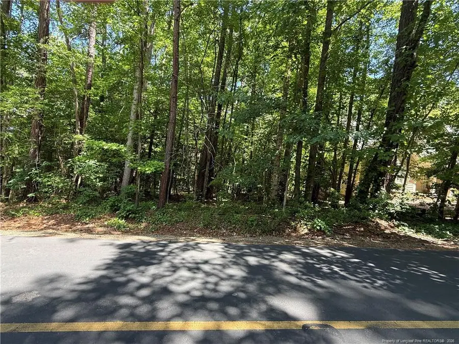 692 Chelsea Drive, Sanford, NC 27332 - #2