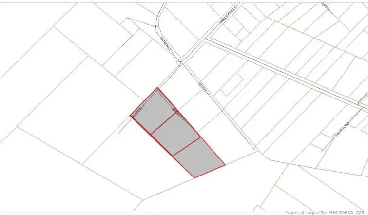 Harleyville Road, Rowland, NC 28383 - #1
