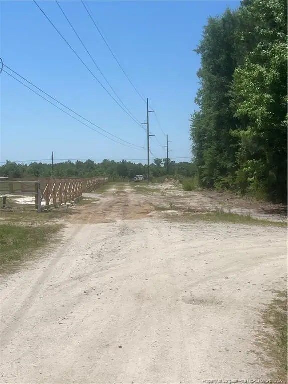 Harleyville Road, Rowland, NC 28383 - #3