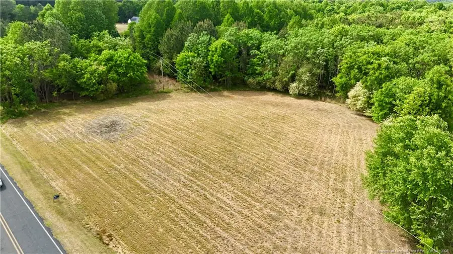 Lot 2 Joe Collins Road, Lillington, NC 27546 - #2