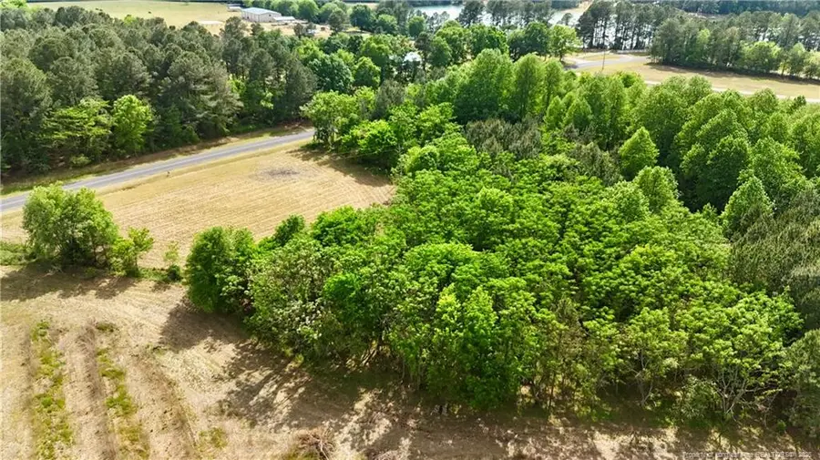 Lot 2 Joe Collins Road, Lillington, NC 27546 - #3