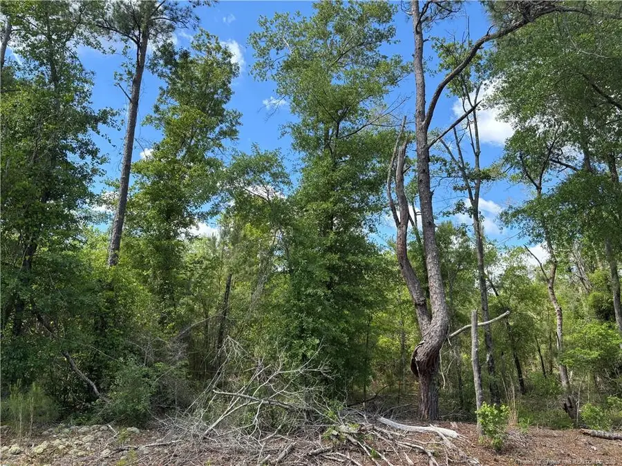 Johnson Road, Fayetteville, NC 28312 - #2