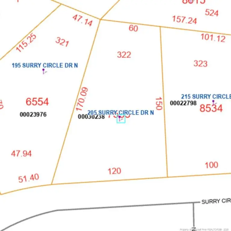 205 Surry Circle Drive, Pinehurst, NC 28374 - #2