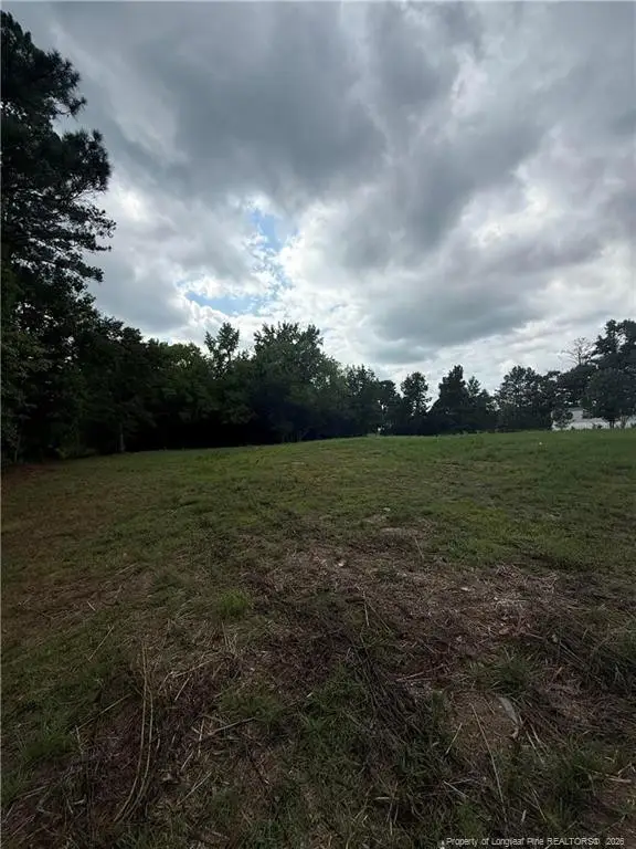 Carroll Store Road, Autryville, NC 28318 - #2