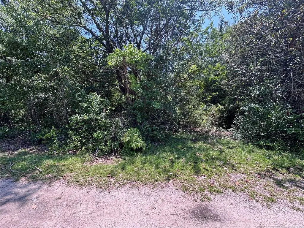 Doby Drive, Raeford, NC 28376 - #1