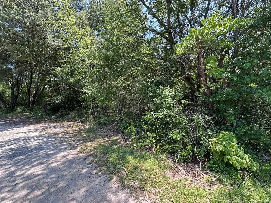 Doby Drive, Raeford, NC 28376 - #2