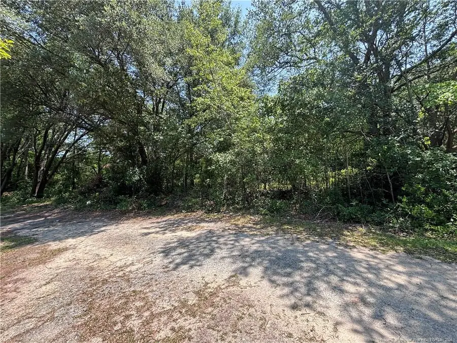 Stevens Street, Raeford, NC 28376 - #3