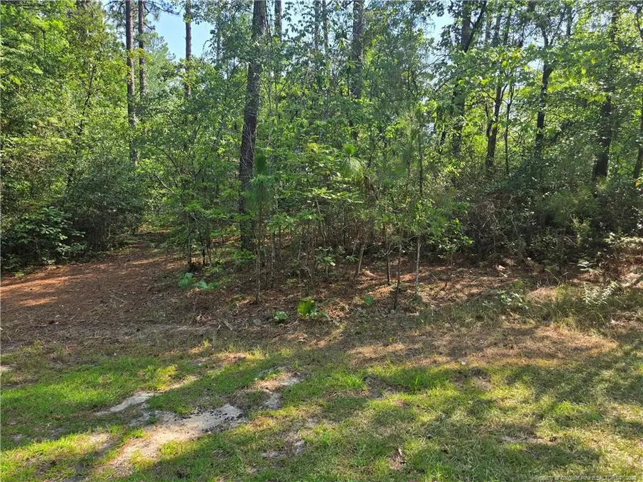 TBD King Court, Pinehurst, NC 28374 - #2