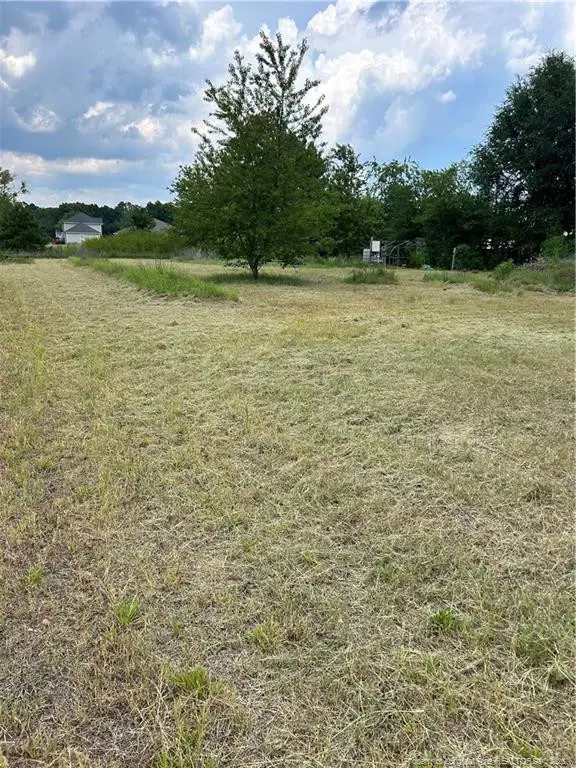 6228 Tabor Church Road, Fayetteville, NC 28312 - #3