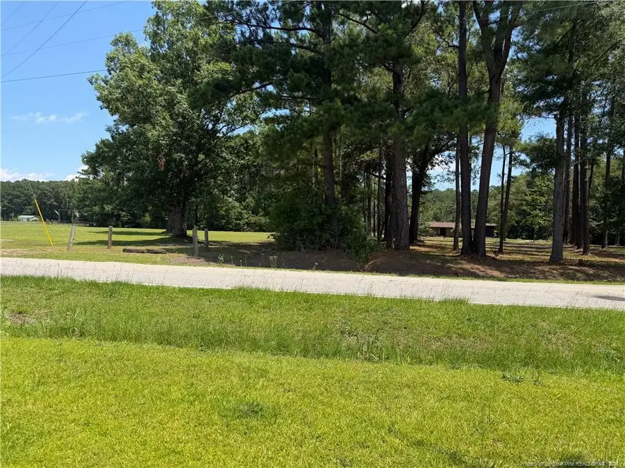 156 Howell Road, Saint Pauls, NC 28384 - #2