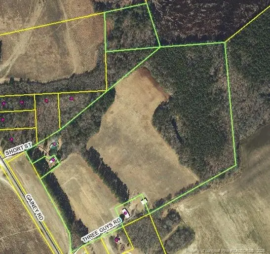 161 Short Street, Raeford, NC 28376 - #1
