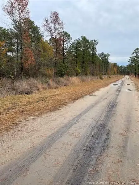 Porcelain Lane, Maxton, NC 28364 - #1