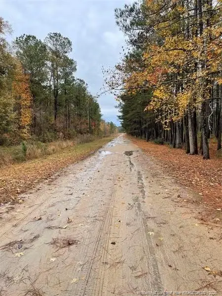 Porcelain Lane, Maxton, NC 28364 - #2