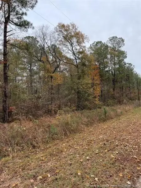 Porcelain Lane, Maxton, NC 28364 - #3