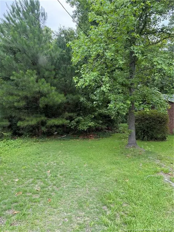2105 Sapona Road, Fayetteville, NC 28312 - #1
