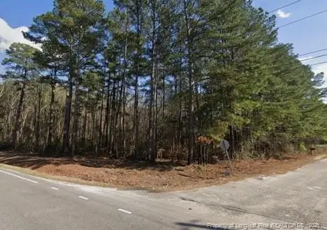 0 Pine Log Road, Raft Swamp, NC 28384 - #1