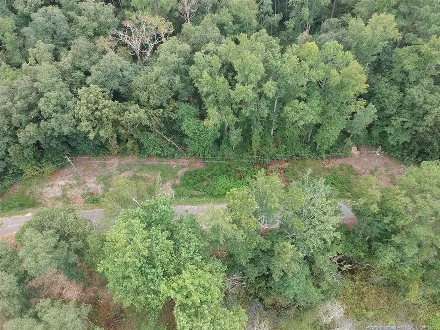 Lot A-9 Lakeview Drive, Red Springs, NC 28377 - #3