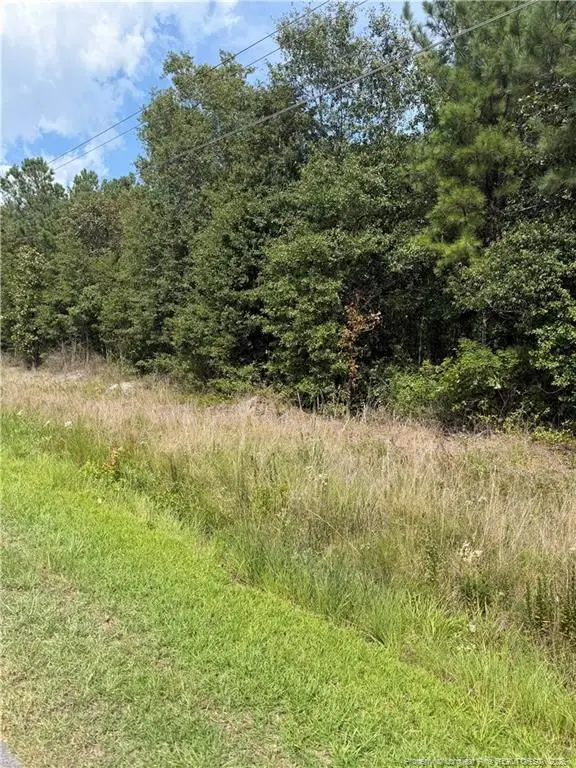 Siversten Road, Autryville, NC 28318 - #2