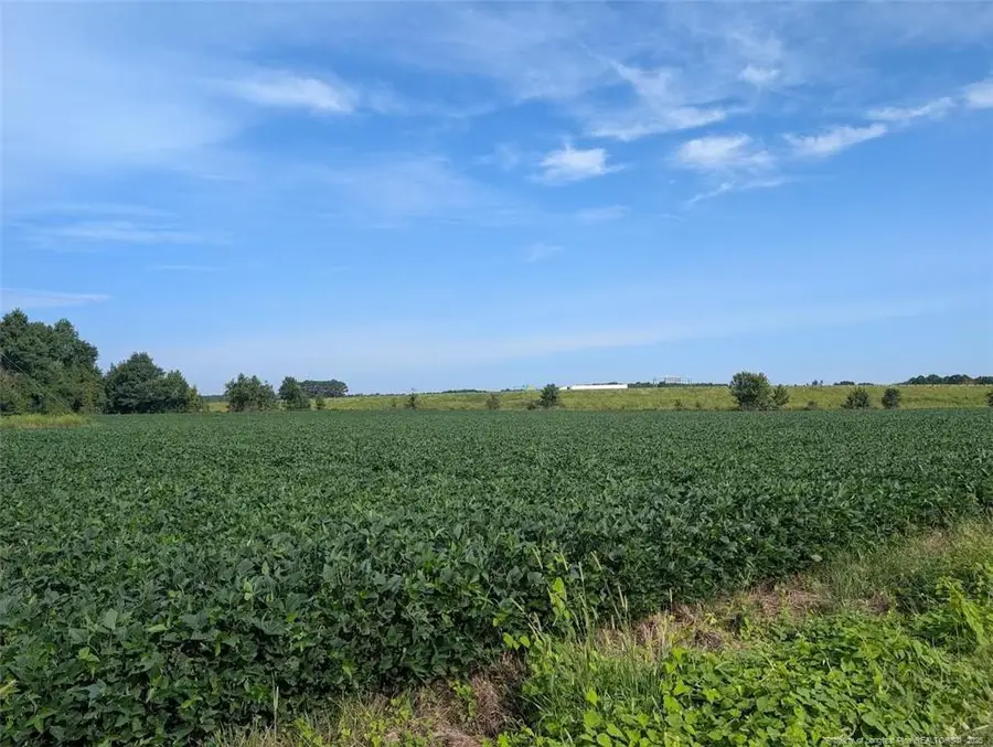 Dallas Road, Lumberton, NC 28358 - #2