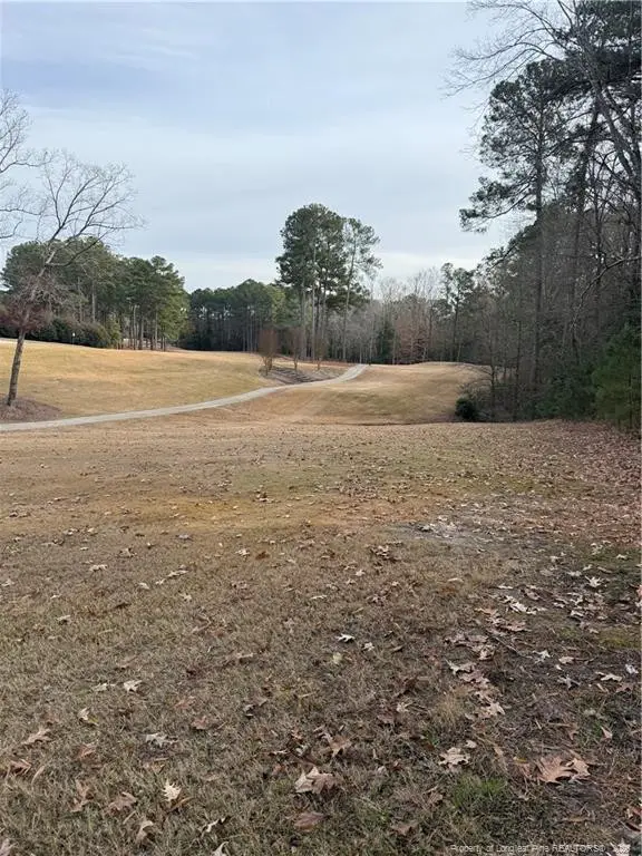 2003 Country Club Court, Sanford, NC 27332 - #2