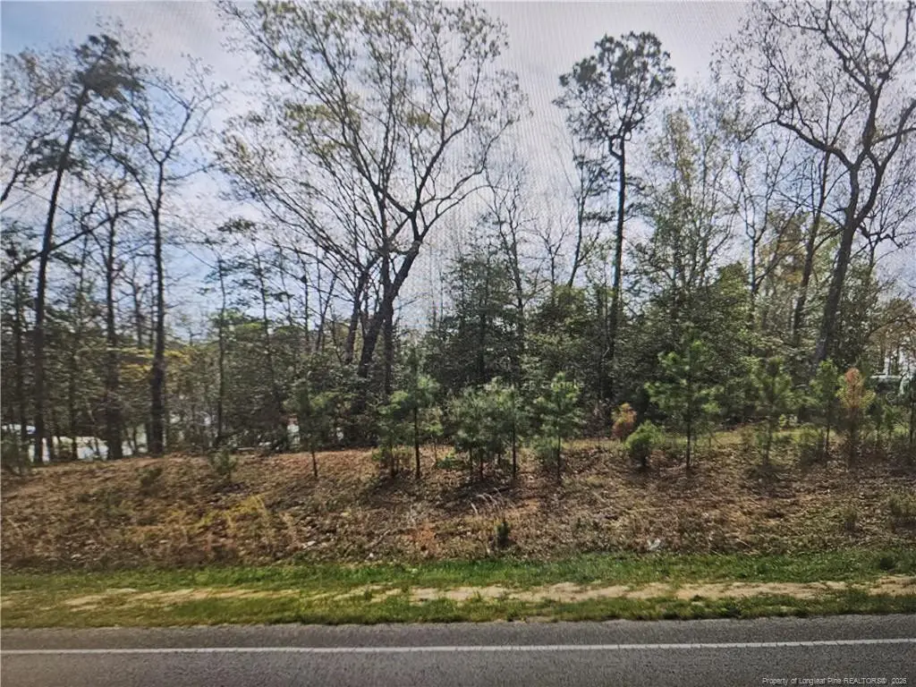 14513 Nc-210 Highway, Angier, NC 27501 - #1