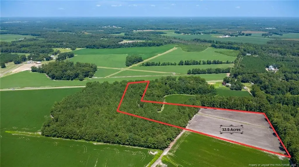 TBD Balfour Road, Lumber Bridge, NC 28357 - #1