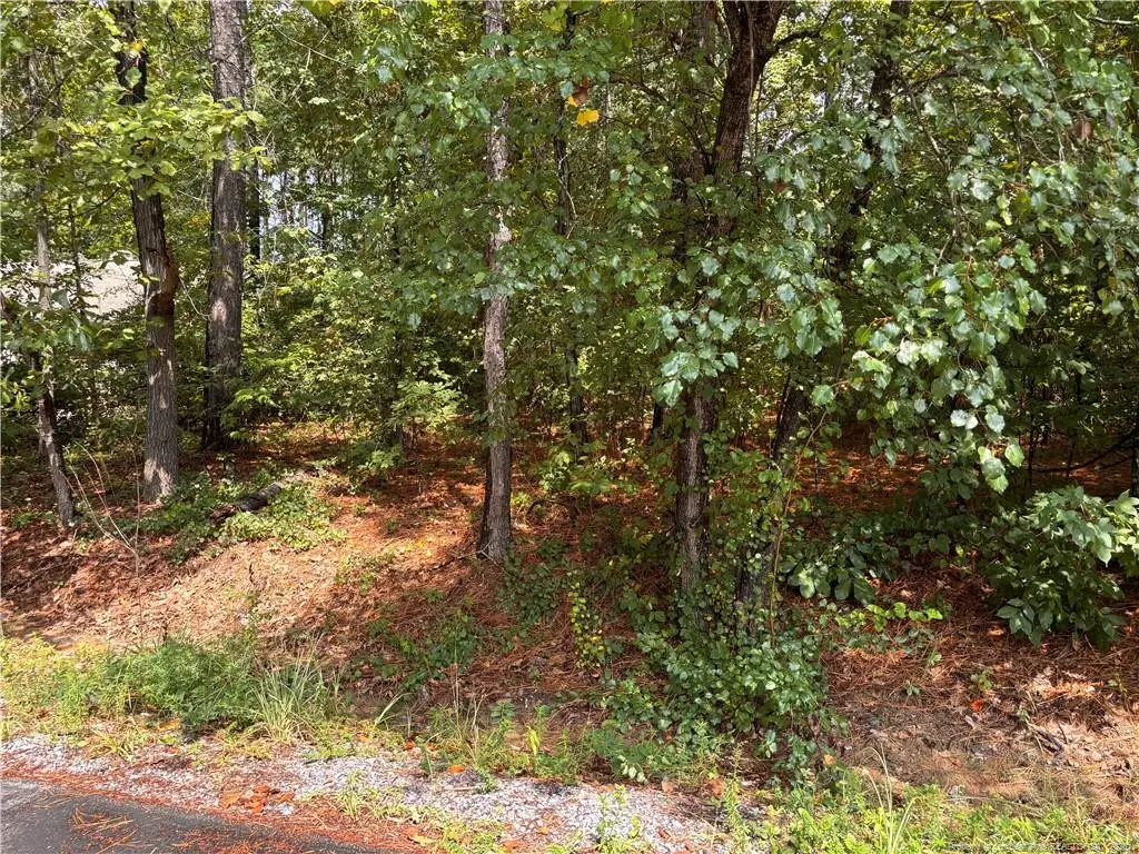 668 Chelsea Drive, Sanford, NC 27332 - #1