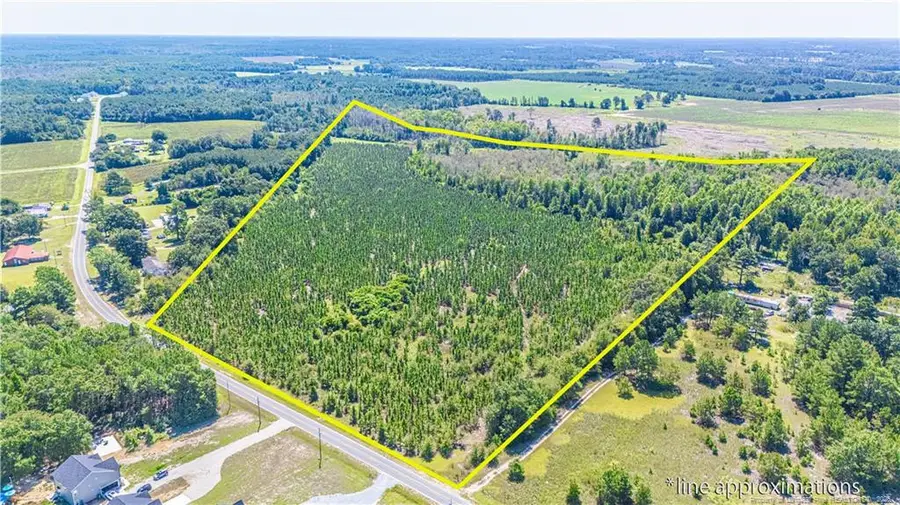 TBD Blue Springs Road, Red Springs, NC 28377 - #2