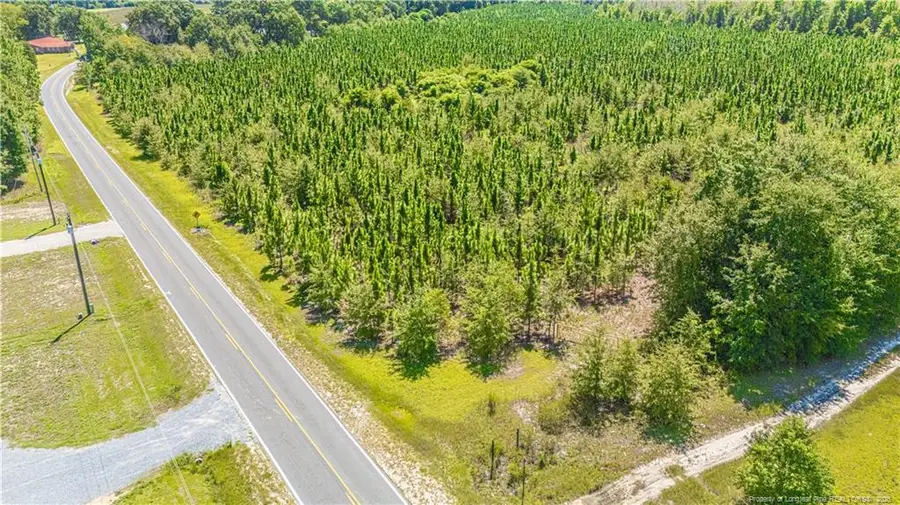 TBD Blue Springs Road, Red Springs, NC 28377 - #3