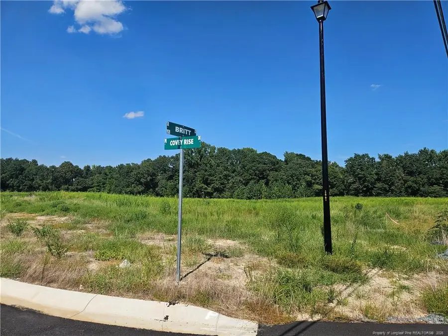 131 Britt Road, Saint Pauls, NC 28384 - #3