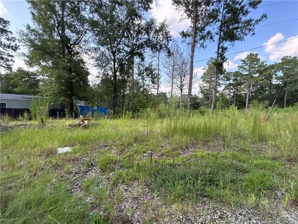 813 Wiregrass Road, Hamlet, NC 28345 - #1