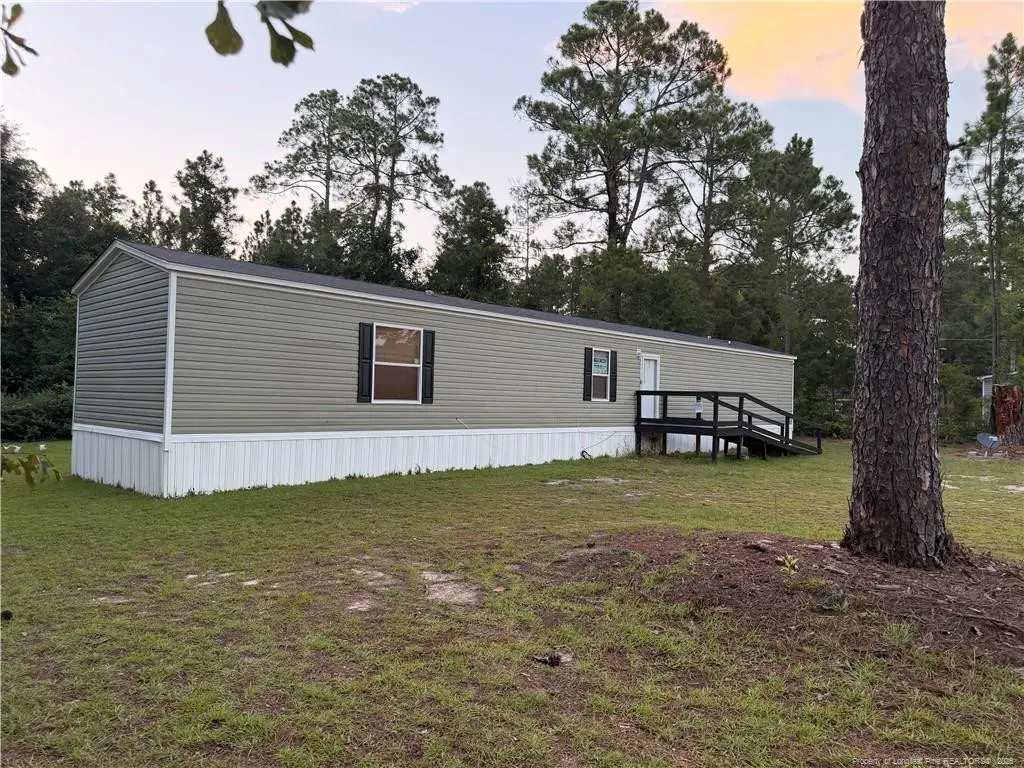 19420 Knapp Street, Laurinburg, NC 28352 - #1