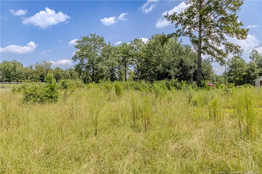 546 Pearsall Road, Red Springs, NC 28377 - #2