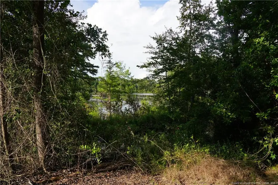 LOT 6 Lakeview Drive, Red Springs, NC 28377 - #3